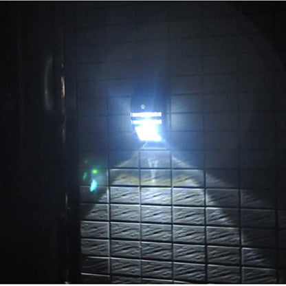 Motion Sensored Wall Light