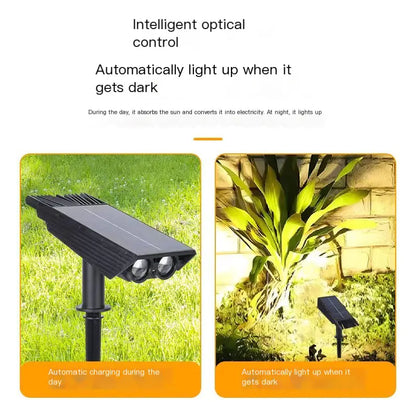 Color Changing Luma Light