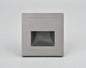Luma Wall or Step Light Fixture
