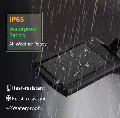 Motion Sensor Hanging Light