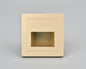 Luma Wall or Step Light Fixture